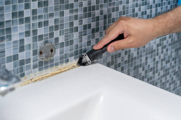 Best Best Mold Removal Companies  in Rio Verde, AZ